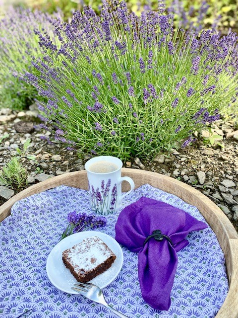 Beschichtete Baumwolle Tischdecke grün lila lavendel flieder